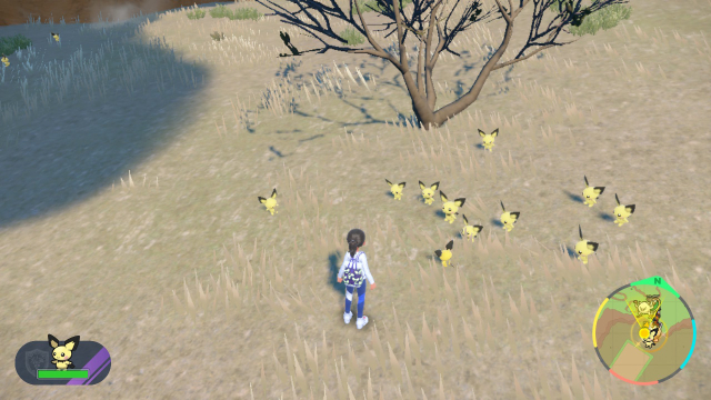 Image of a hoard of Pichu